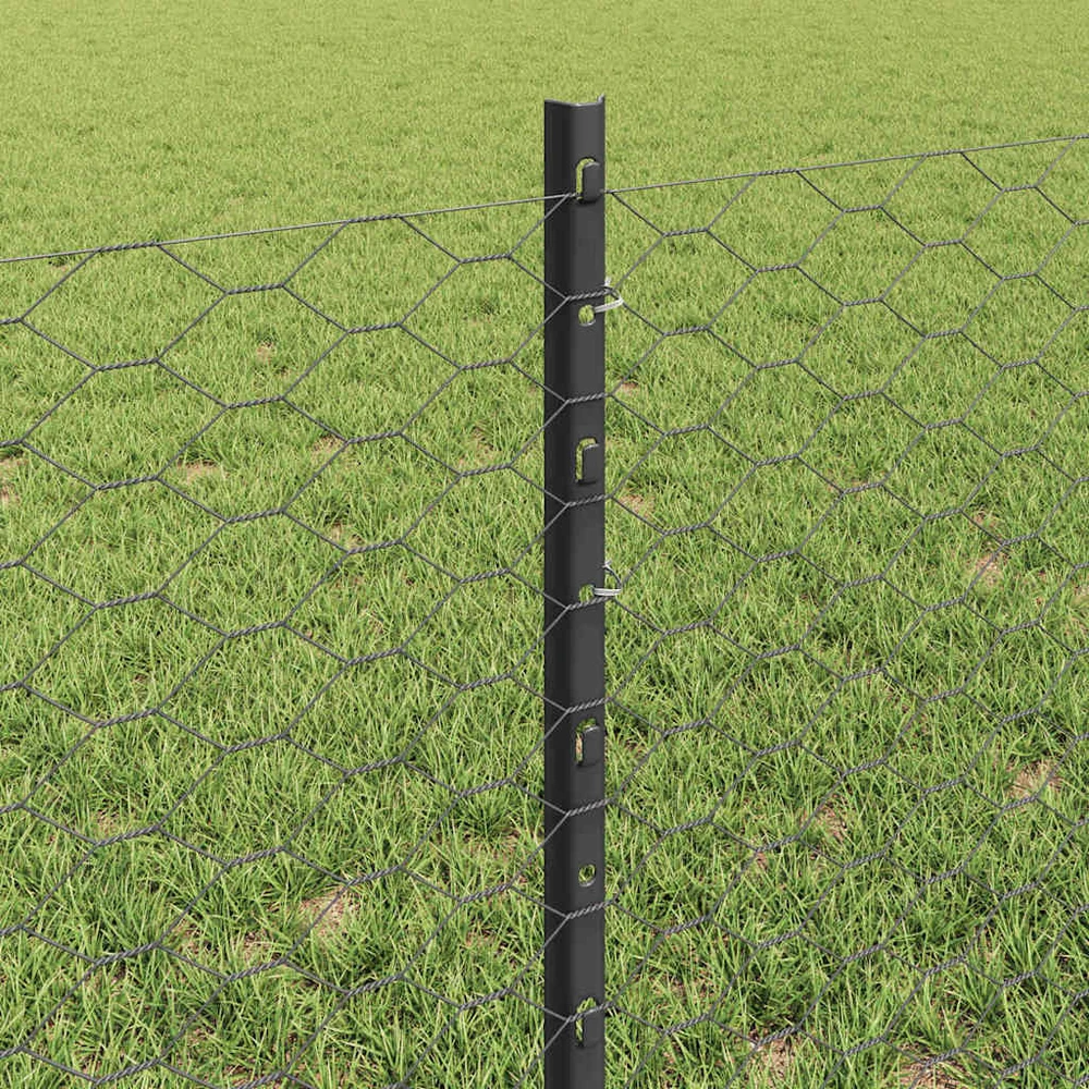 Hexagonal Fence with Post 25 x 0,6 m PVC dengtas plienas Pilka
