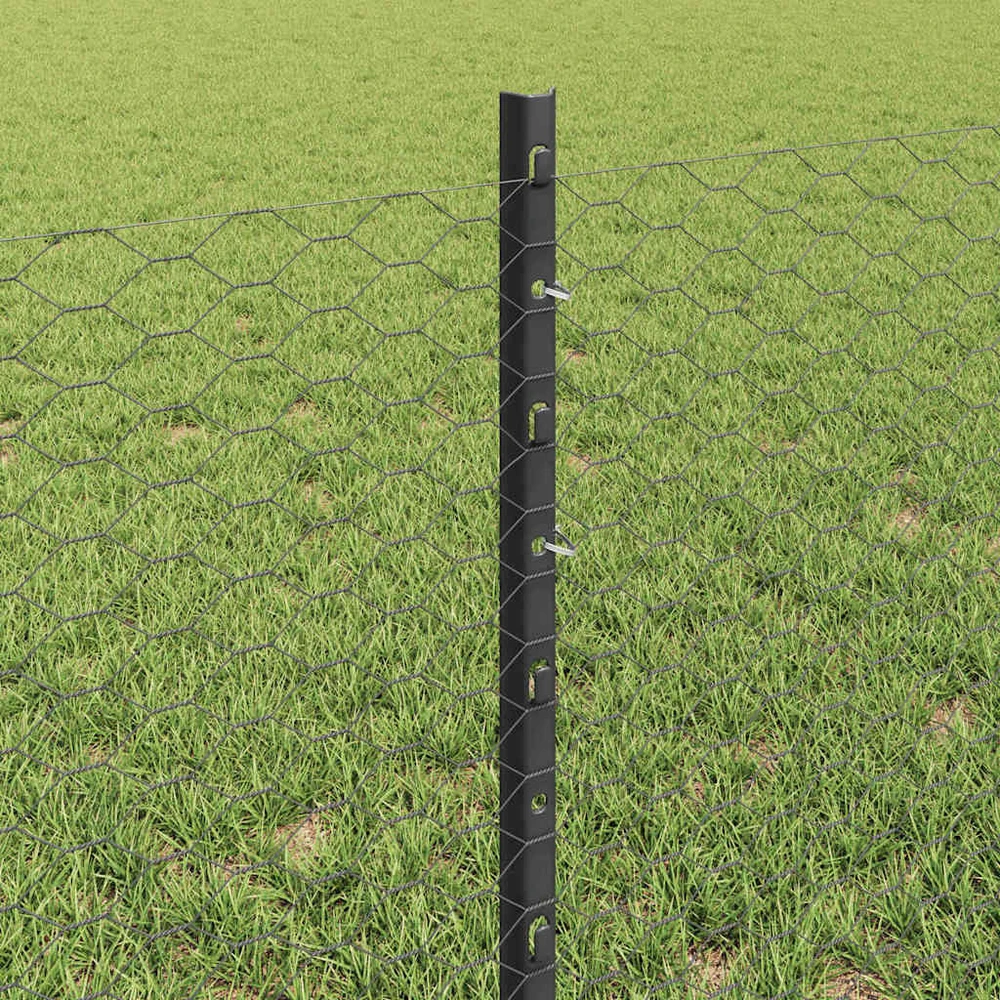 Hexagonal Fence with Post 25 x 0,6 m PVC dengtas plienas Pilka
