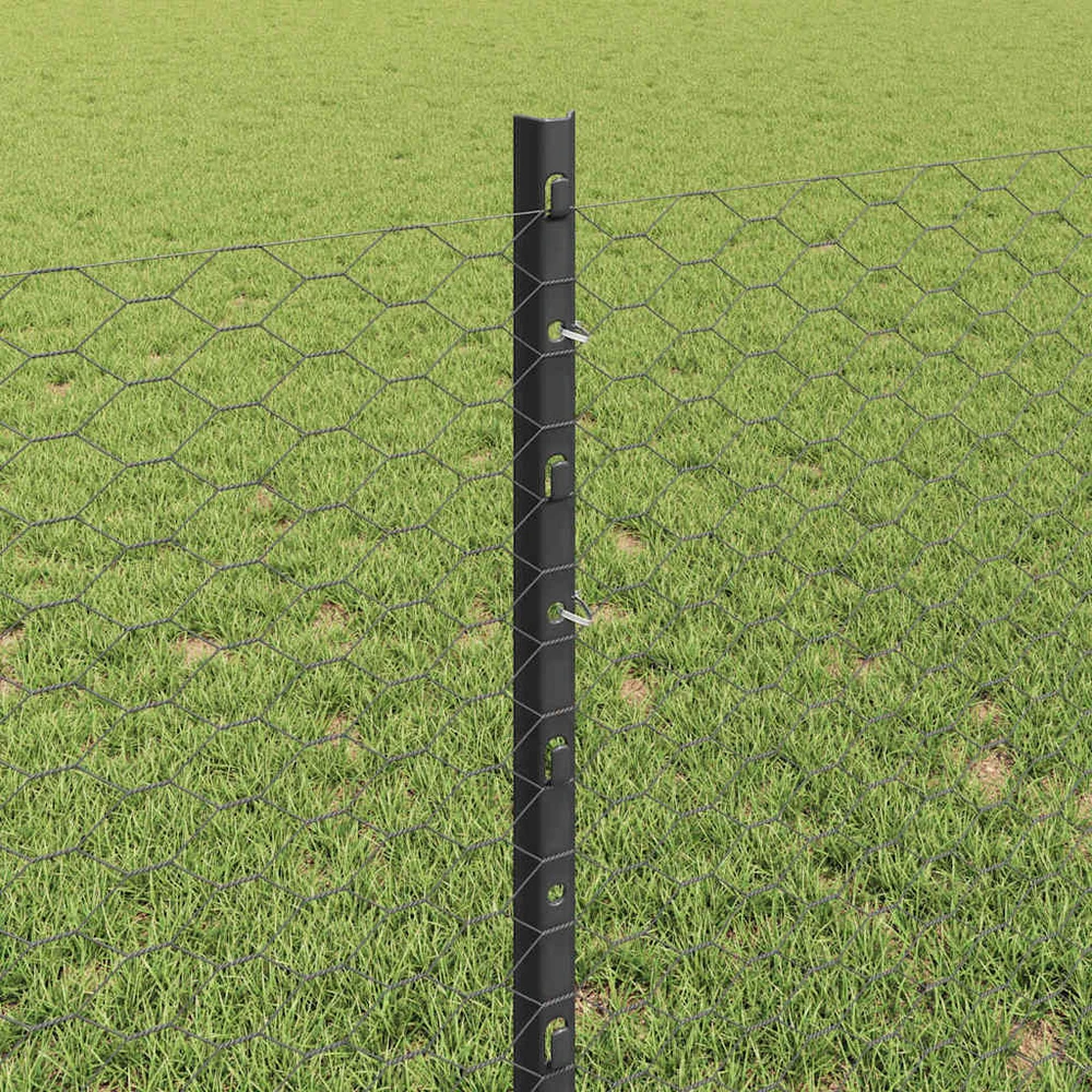 Hexagonal Fence with Post 25 x 0,8 m PVC dengtas plienas Pilka