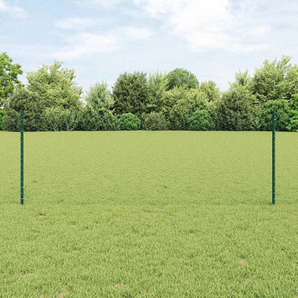 Hexagonal Fence with Post 25 x 0,8 m PVC dengtas plienas Žalia