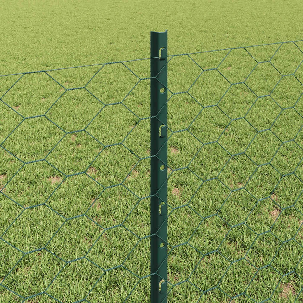 Hexagonal Fence with Post 25 x 0,8 m PVC dengtas plienas Žalia