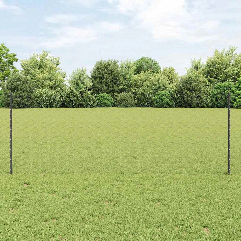 Hexagonal Fence with Post 25 x 0,8 m PVC dengtas plienas Pilka
