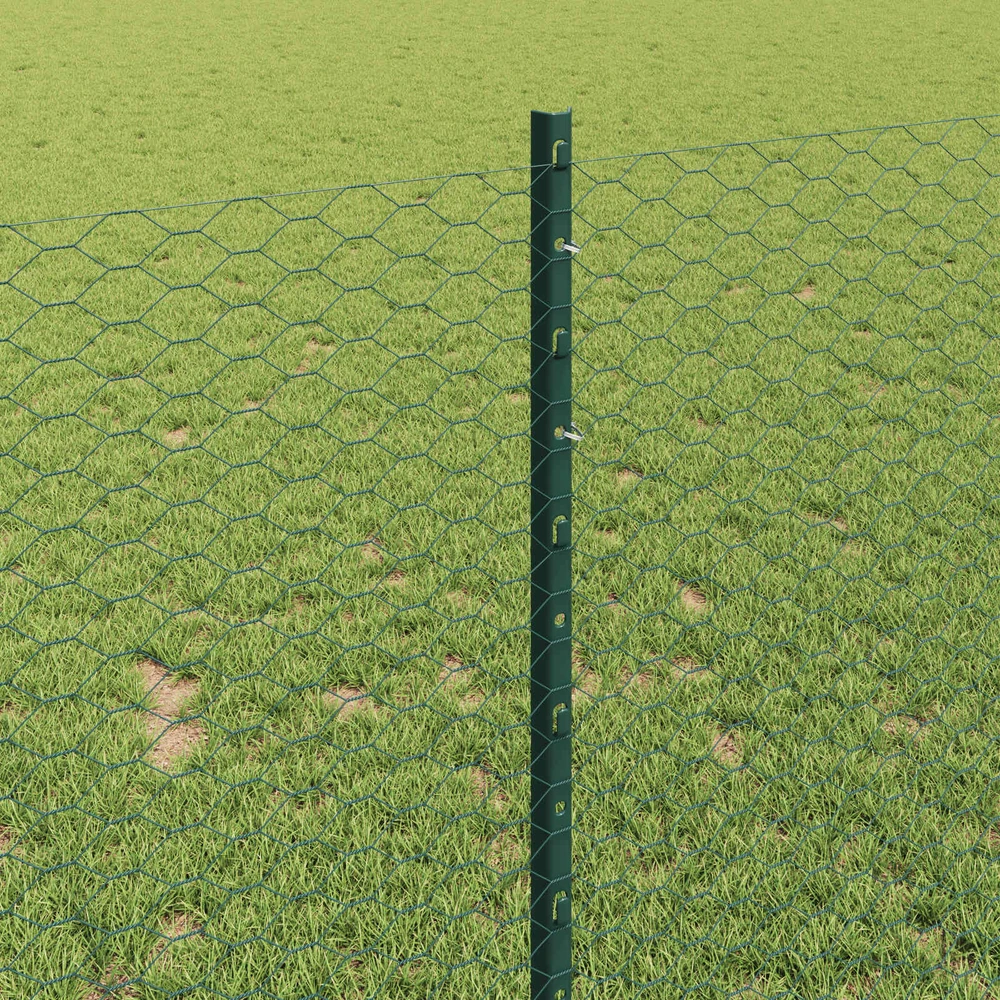 Hexagonal Fence with Post 25 x 1 m PVC dengtas plienas Žalia