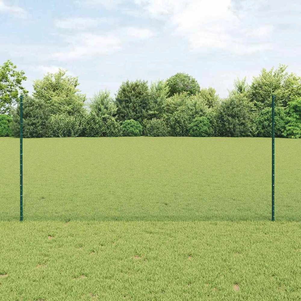 Hexagonal Fence with Post 25 x 1,2 m PVC dengtas plienas Žalia