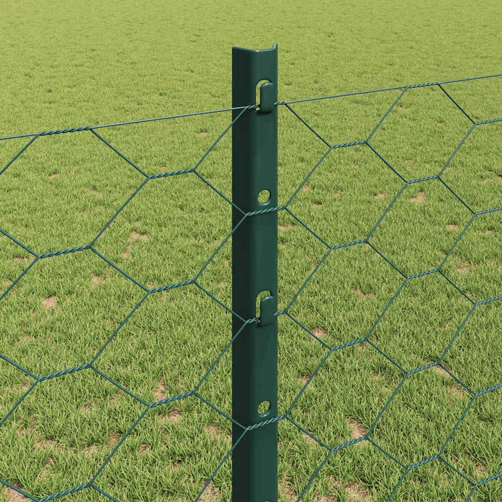 Hexagonal Fence with Post 25 x 1,2 m PVC dengtas plienas Žalia