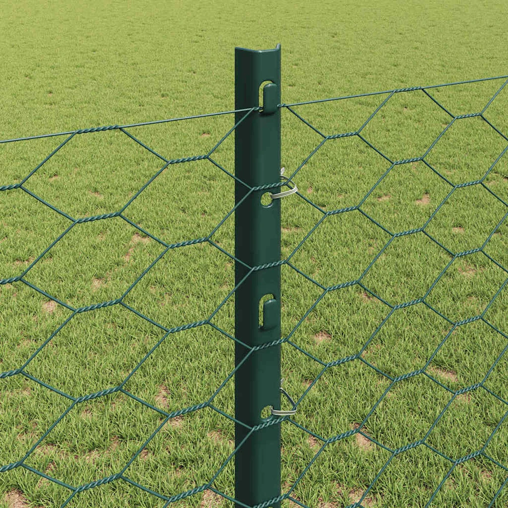 Hexagonal Fence with Post 25 x 1,2 m PVC dengtas plienas Žalia