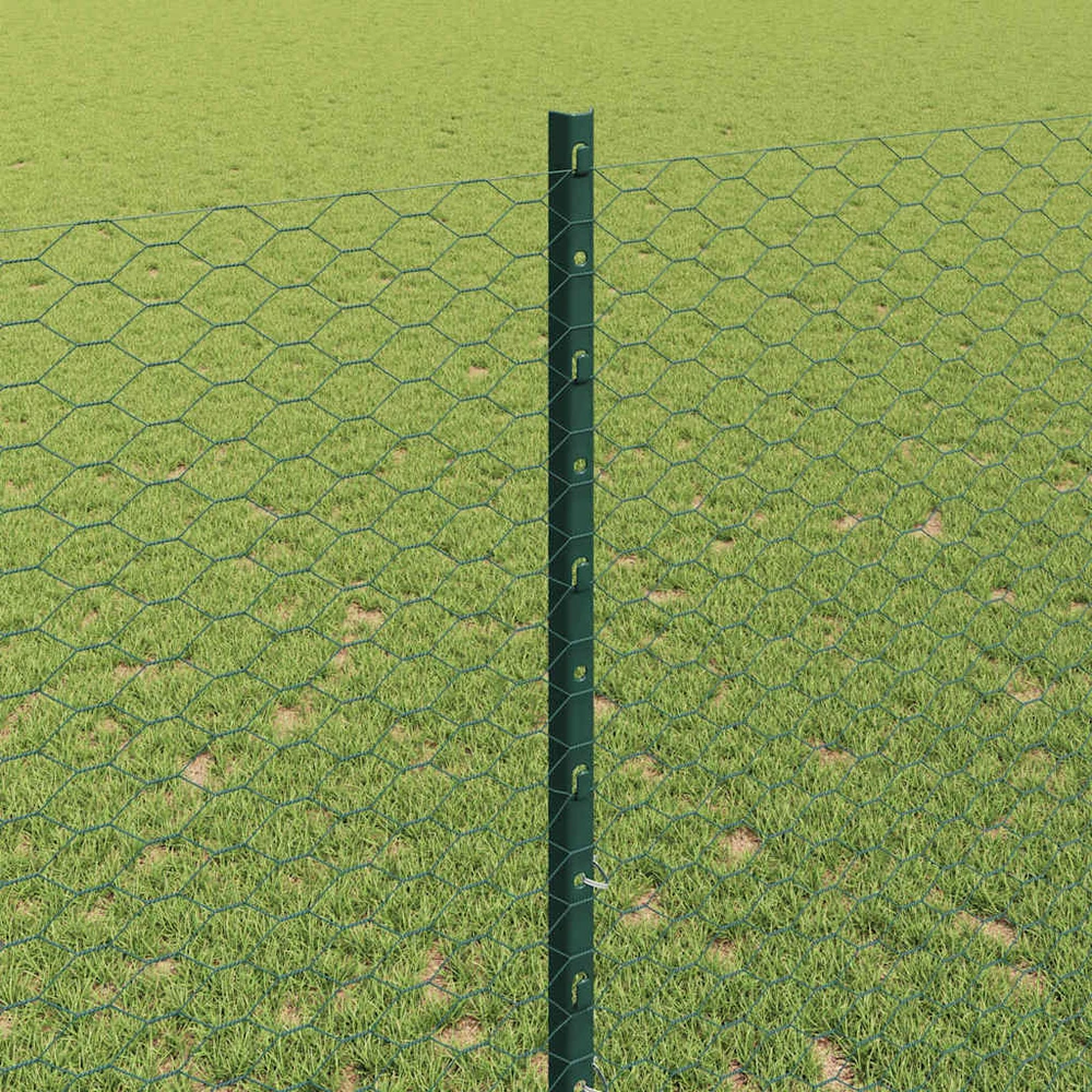 Hexagonal Fence with Post 25 x 1,4 m PVC dengtas plienas Žalia