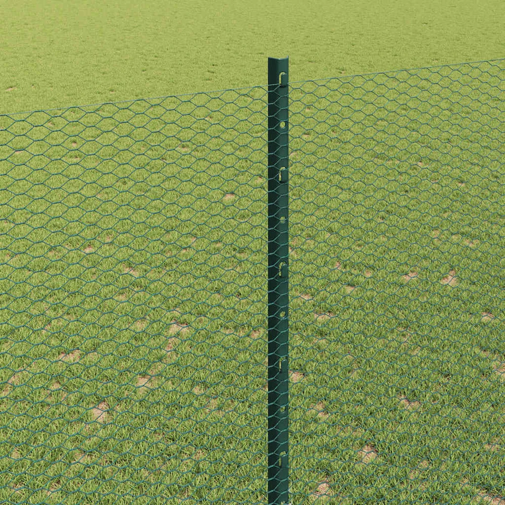 Hexagonal Fence with Post 25 x 1,6 m PVC dengtas plienas Žalia