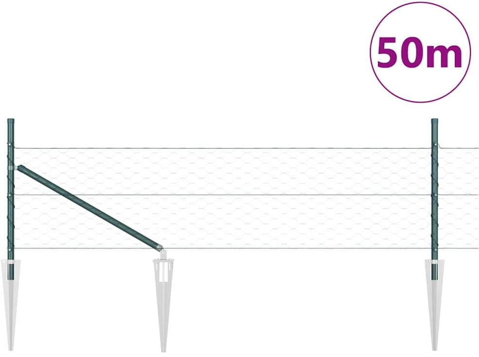 Hexagonal Fence with Post 50 x 0,4 m PVC dengtas plienas Žalia