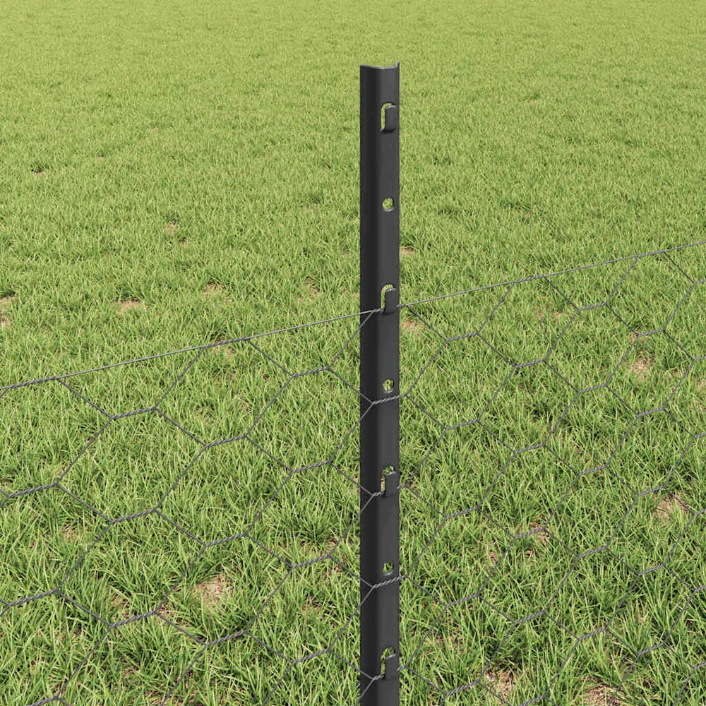 Hexagonal Fence with Post 50 x 0,5 m PVC dengtas plienas Pilka