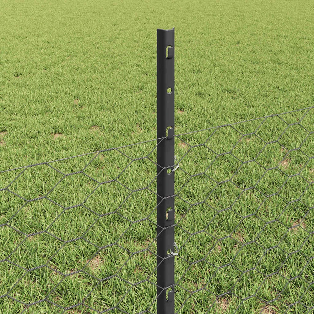 Hexagonal Fence with Post 50 x 0,5 m PVC dengtas plienas Pilka