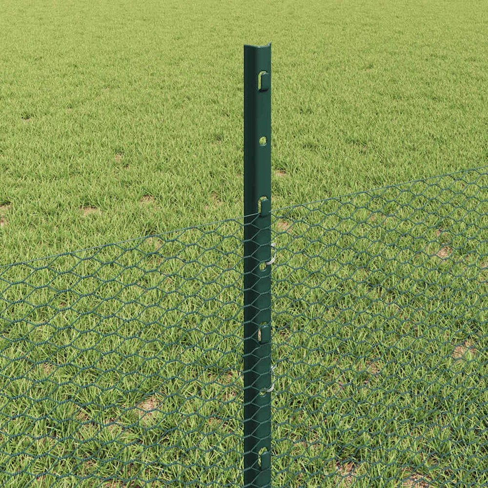 Hexagonal Fence with Post 50 x 0,5 m PVC dengtas plienas Žalia