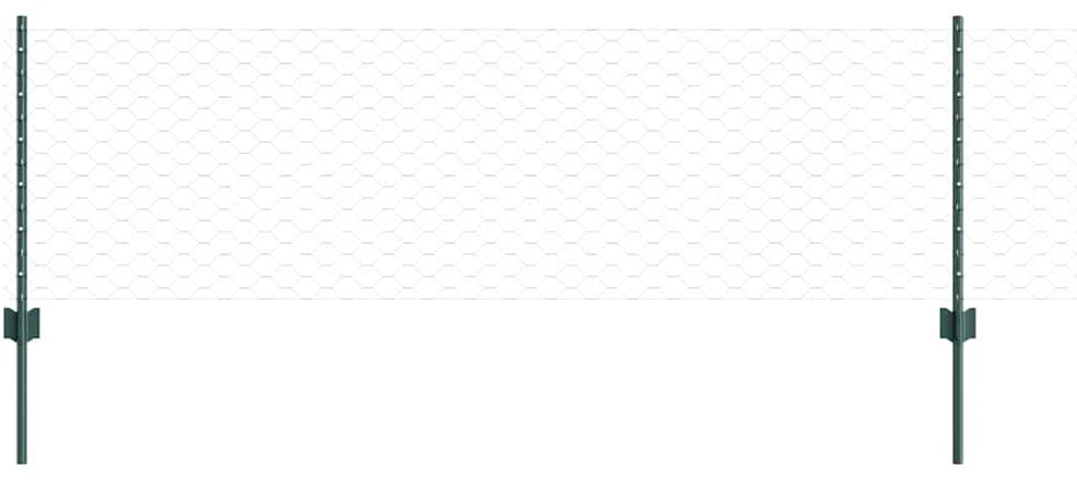 Hexagonal Fence with Post 50 x 0,6 m PVC dengtas plienas Žalia