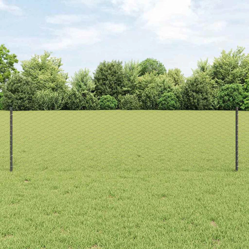 Hexagonal Fence with Post 50 x 0,6 m PVC dengtas plienas Pilka