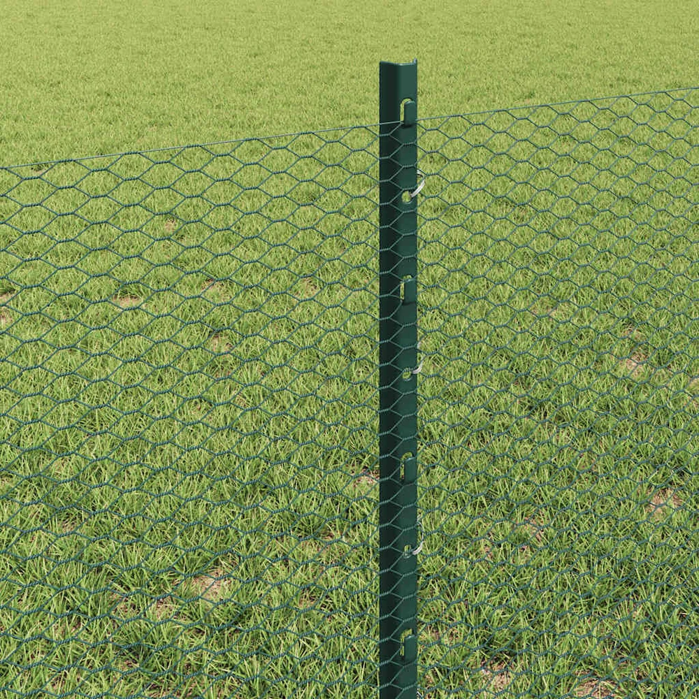 Hexagonal Fence with Post 50 x 0,6 m PVC dengtas plienas Žalia