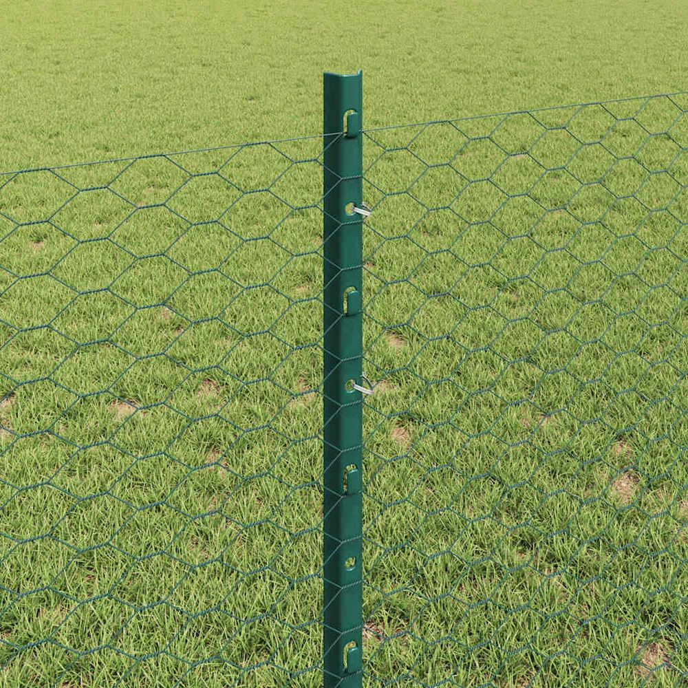 Hexagonal Fence with Post 50 x 0,8 m PVC dengtas plienas Žalia