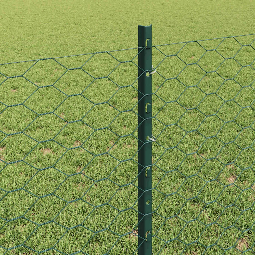 Hexagonal Fence with Post 50 x 0,8 m PVC dengtas plienas Žalia