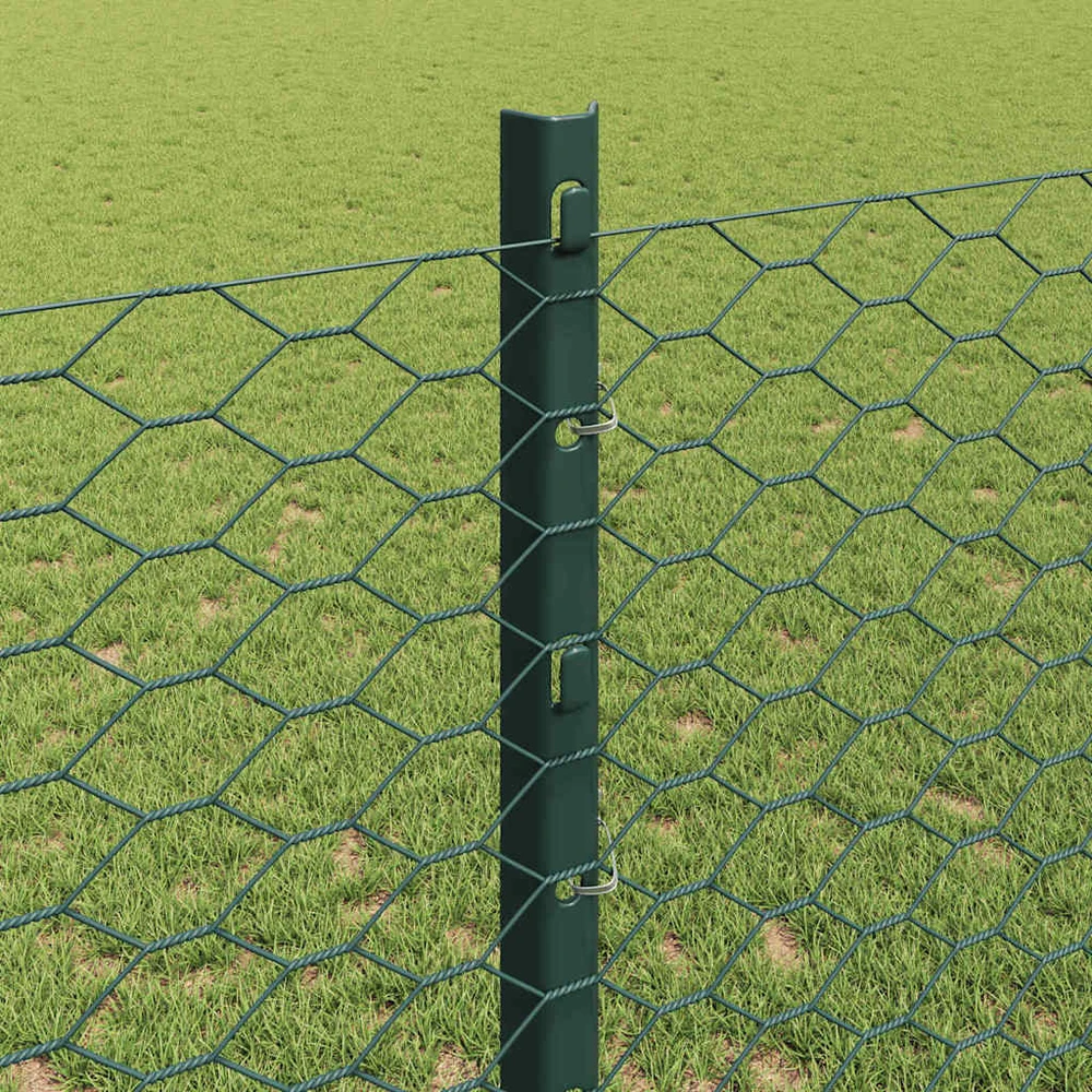 Hexagonal Fence with Post 50 x 1,2 m PVC dengtas plienas Žalia