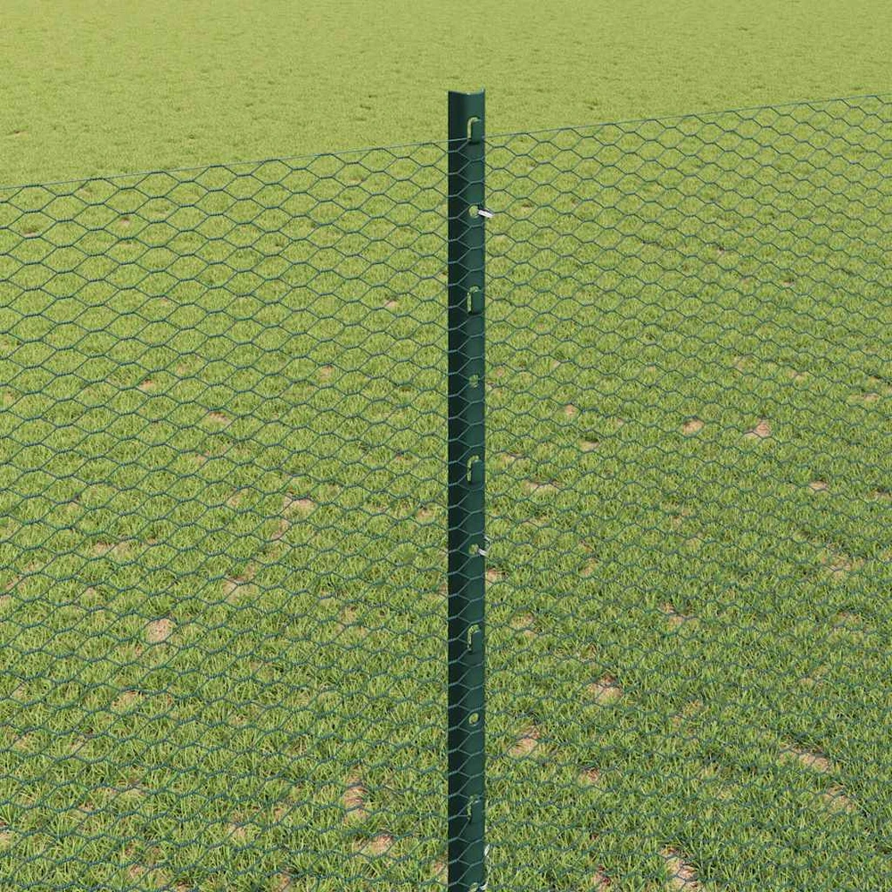 Hexagonal Fence with Post 50 x 1,4 m PVC dengtas plienas Žalia