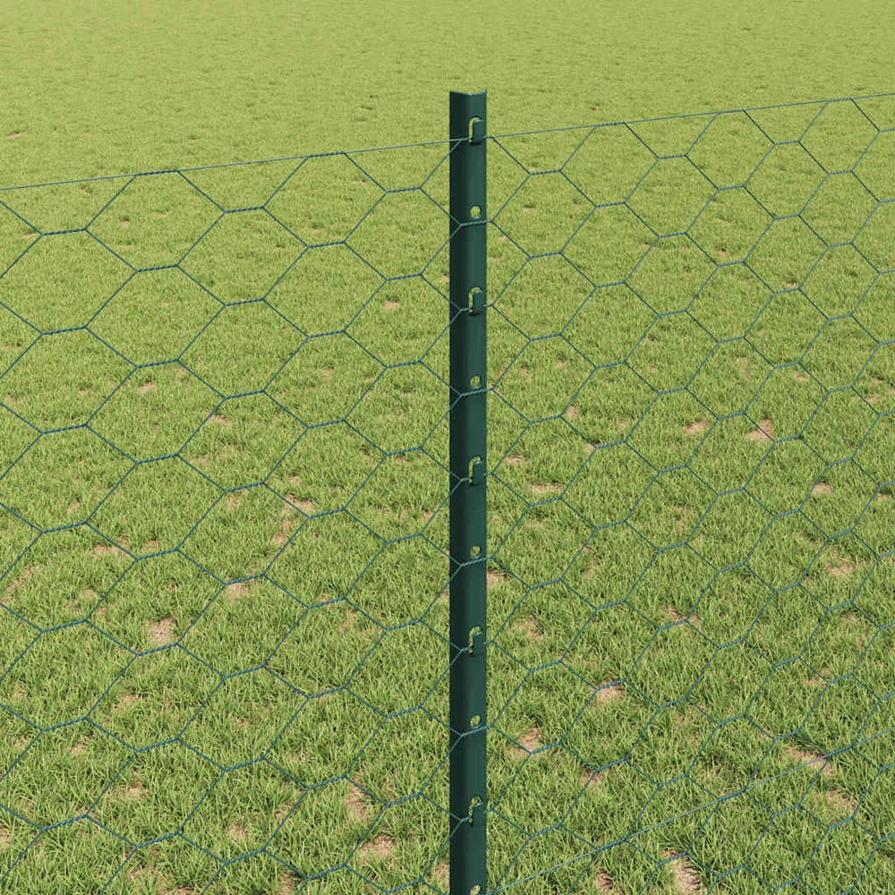 Hexagonal Fence with Post 50 x 1,4 m PVC dengtas plienas Žalia