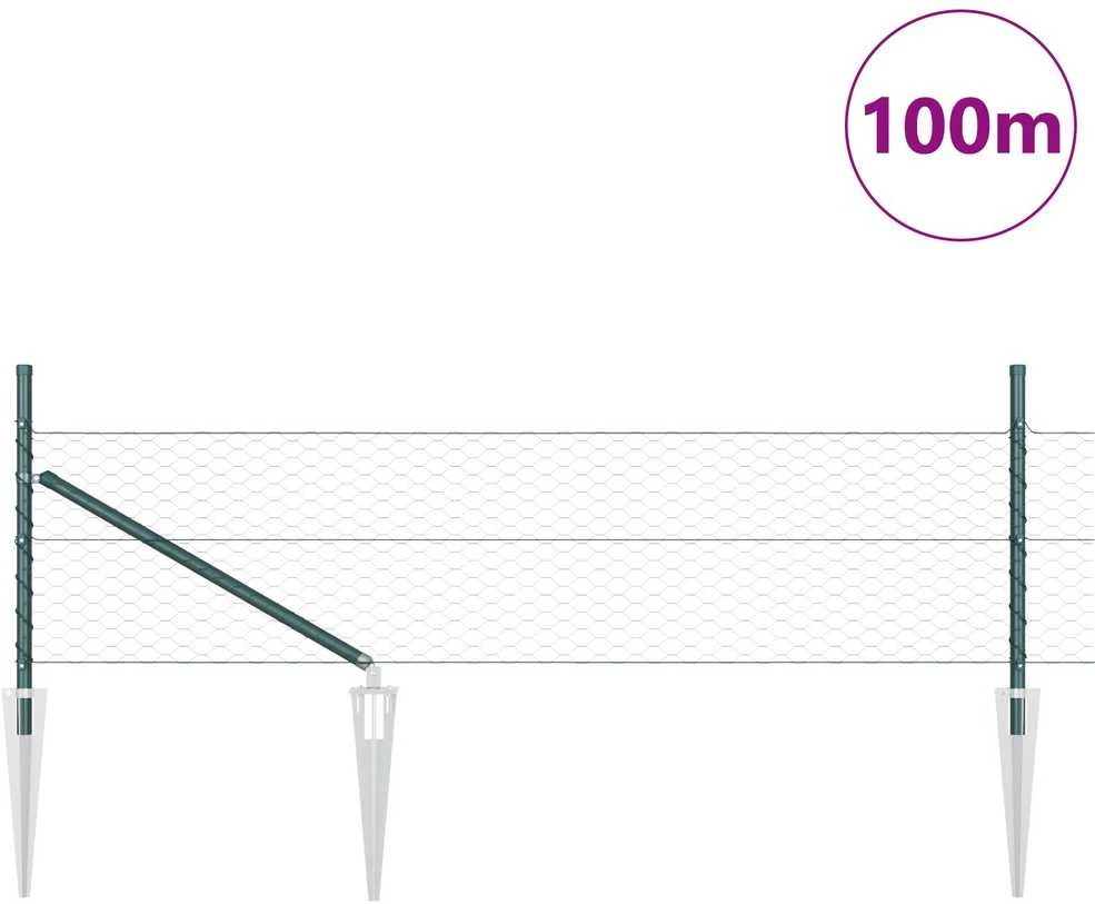 Hexagonal Fence with Post 100 x 0,5 m PVC dengtas plienas Žalia
