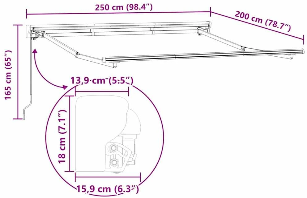 Markizės rėmas Antracito 250 x 200 cm Poliesteris su PU danga