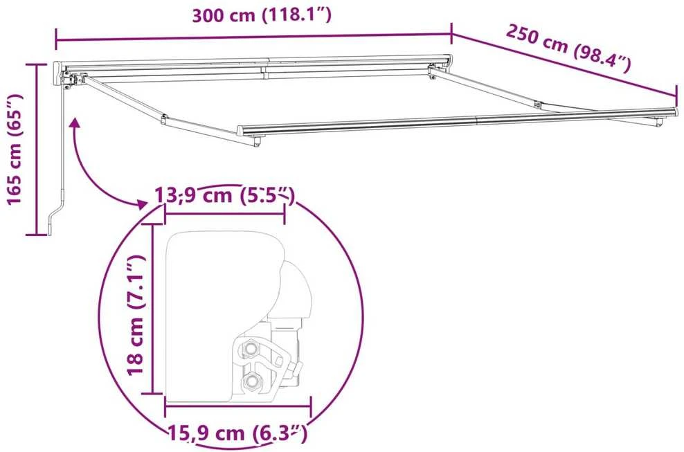 Markizės rėmas Antracito 300 x 250 cm Poliesteris su PU danga