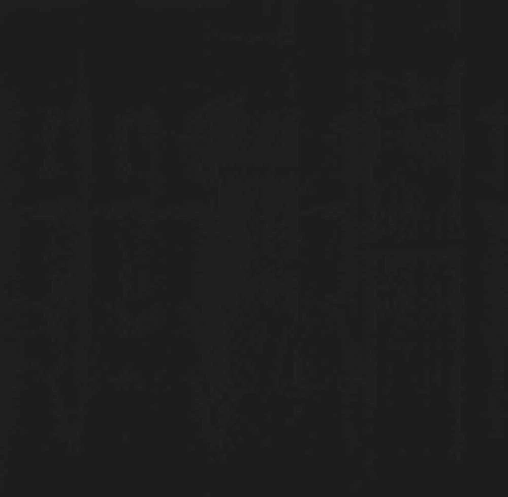 Ištraukiama markizė, antracito spalvos, 350x150 cm