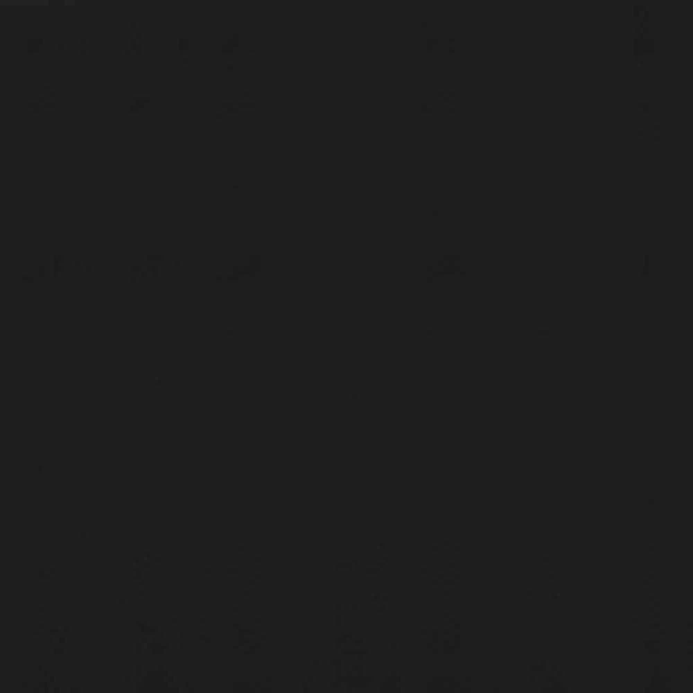 Ištraukiama markizė, antracito spalvos, 300x150 cm