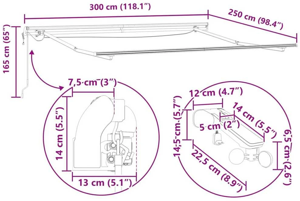 Ištraukiama markizė Juoda 300 x 250 cm Poliesteris