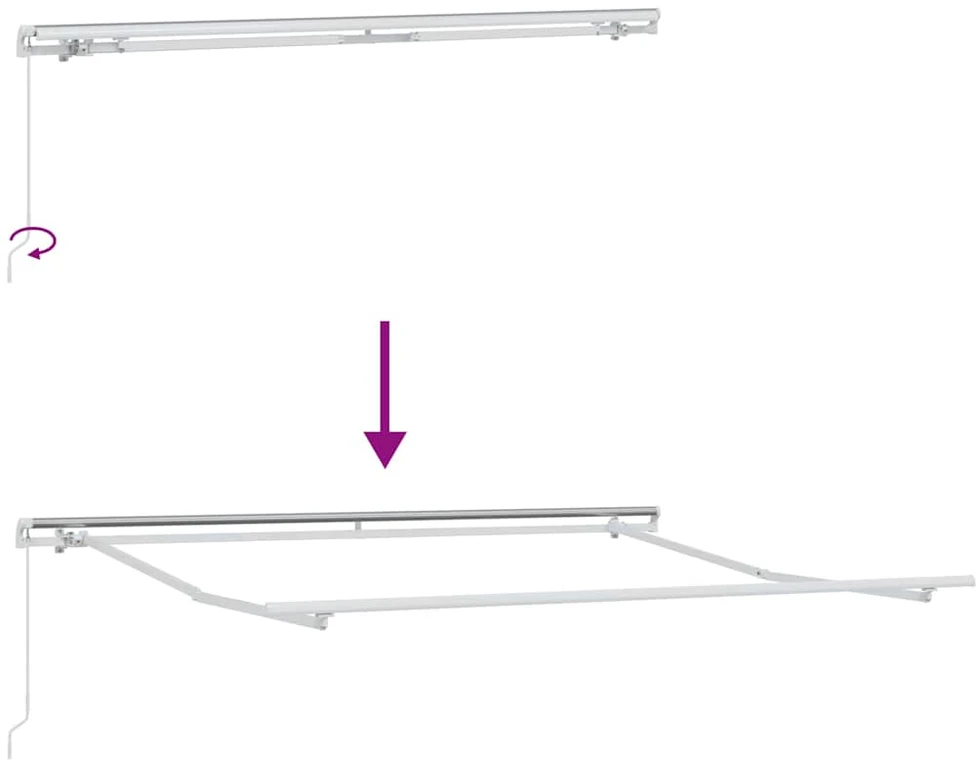 Ištraukiama markizė Žalia ir balta 350 x 250 cm