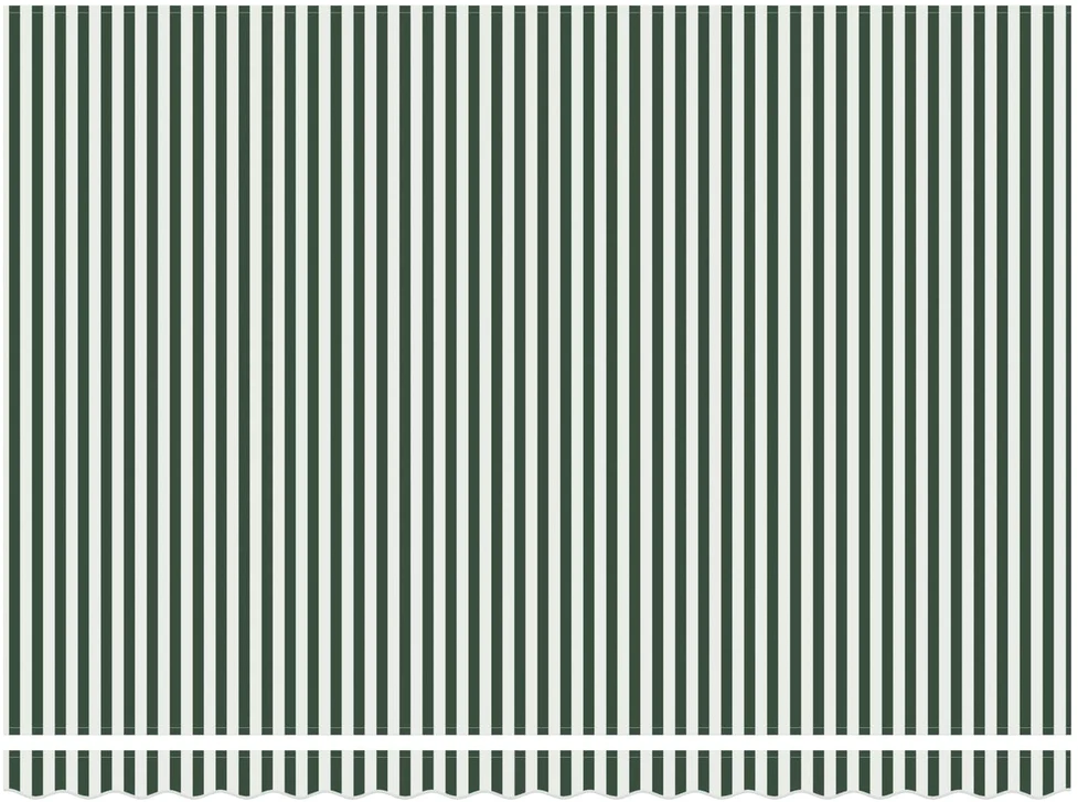 Ištraukiama markizė Žalia ir balta 450 × 300 cm Poliesteris