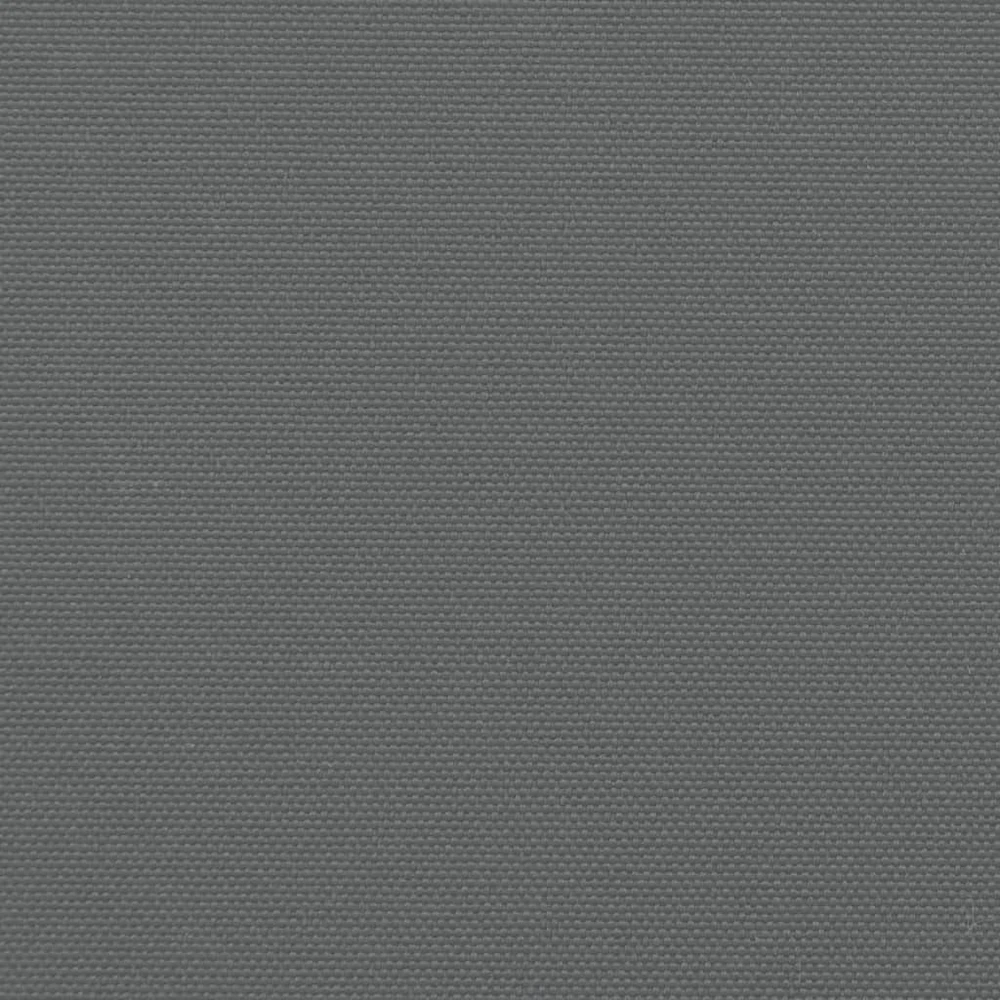 Ištraukiama šoninė markizė, antracito spalvos, 180x600cm