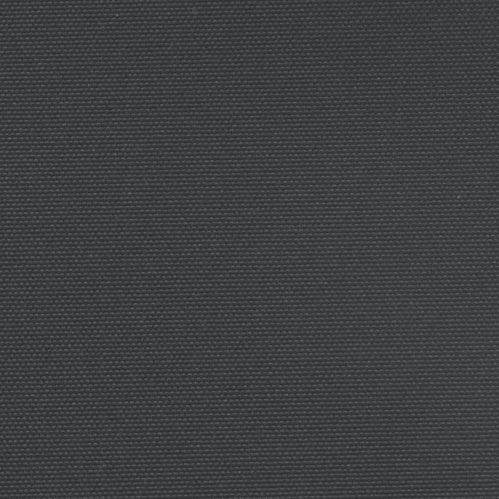 Ištraukiama šoninė markizė, juodos spalvos, 200x600cm