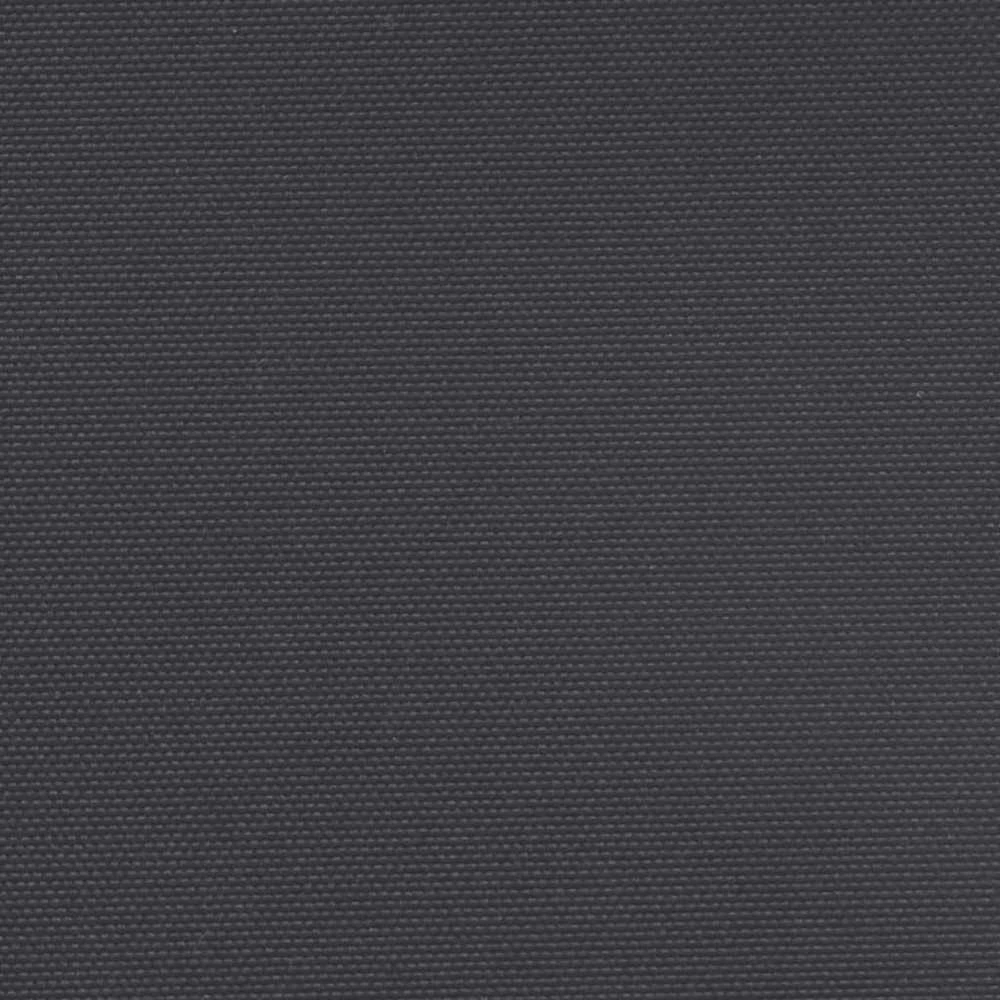 Ištraukiama šoninė markizė, juodos spalvos, 200x600cm