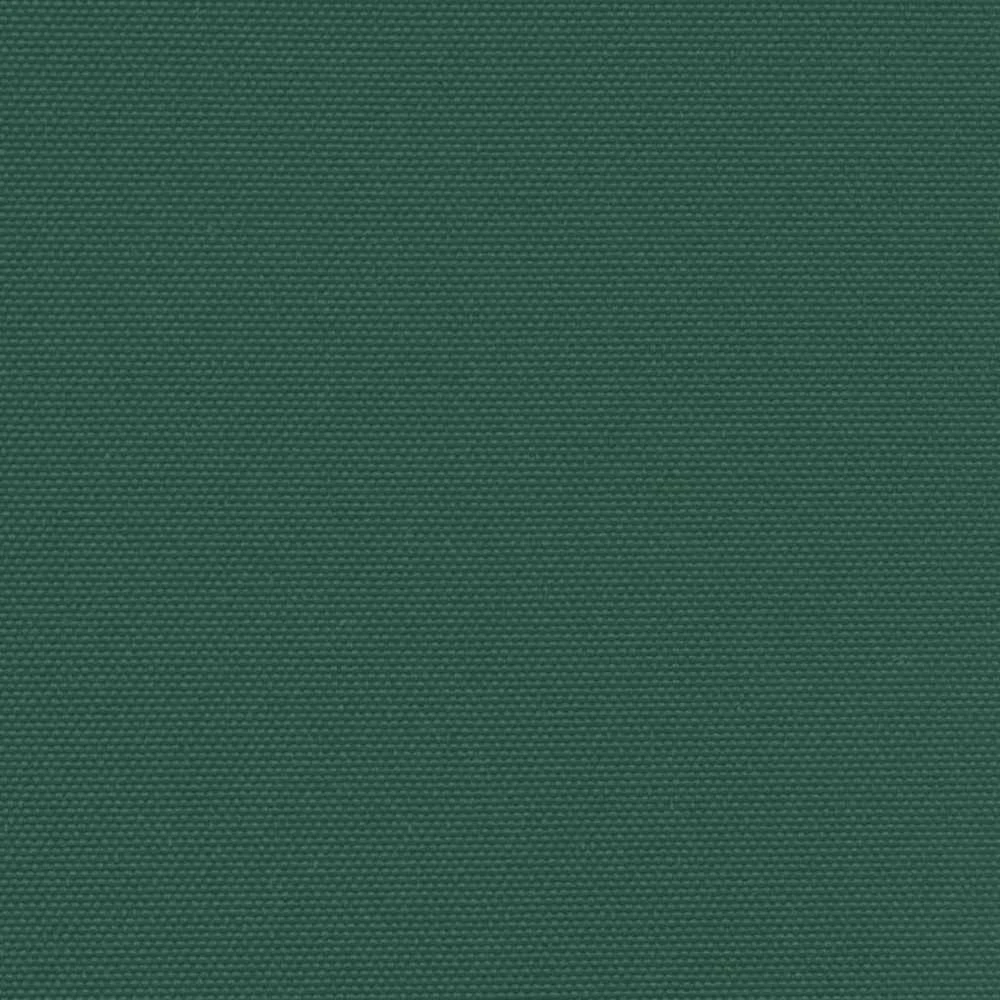 Ištraukiama šoninė markizė, tamsiai žalios spalvos, 200x300cm