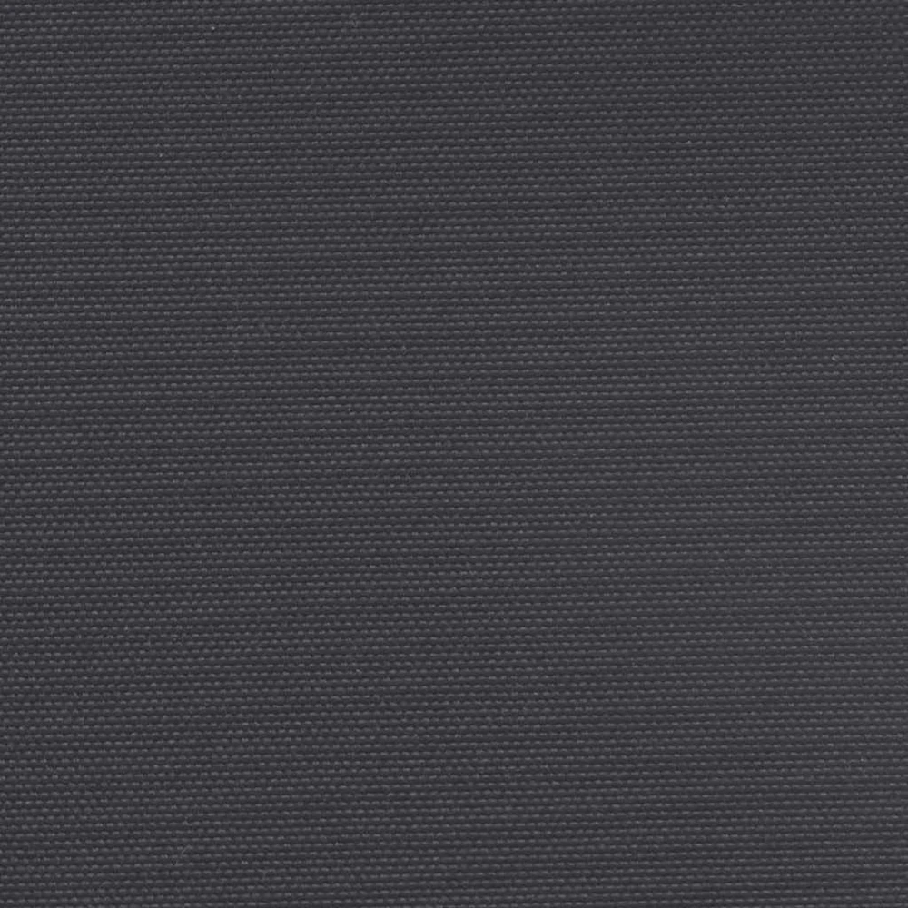 Ištraukiama šoninė pertvara, juodos spalvos, 160x600cm