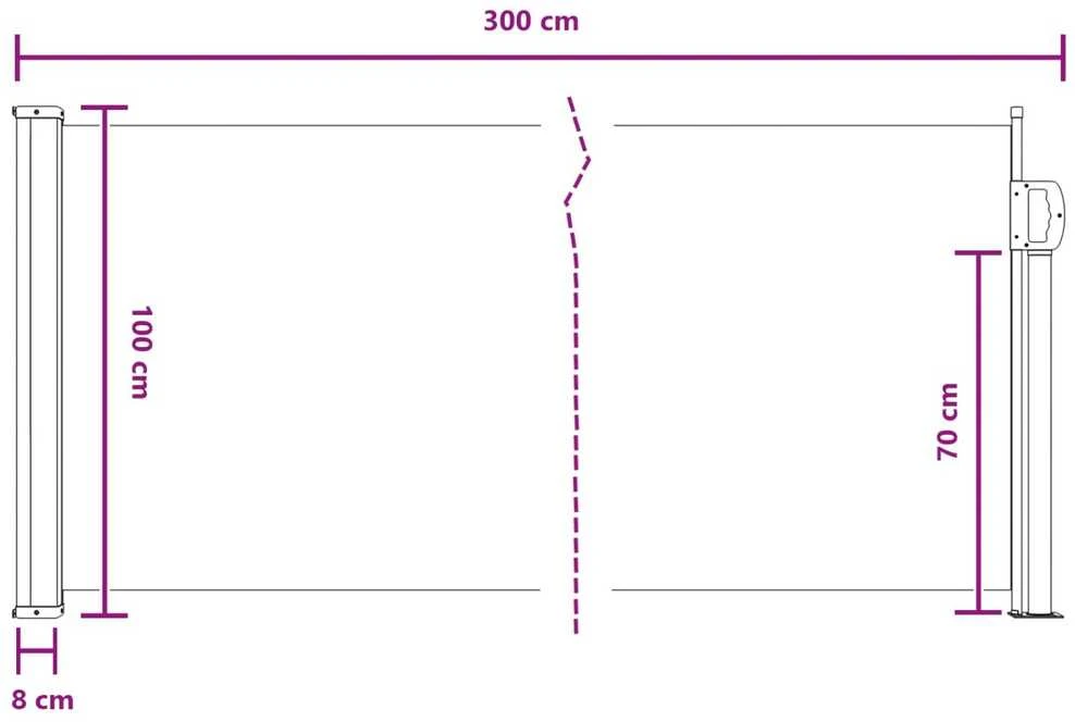 Ištraukiama šoninė užuolaida 300 x 100 cm Poliesteris