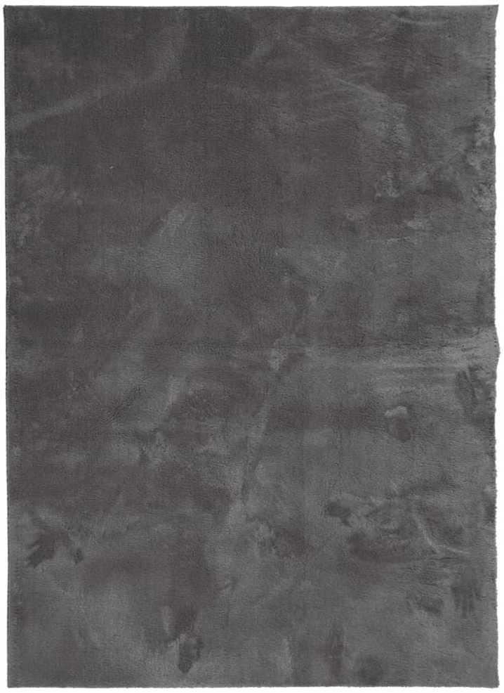 Kilimas HUARTE, antracito, 120x170 cm, trumpi šereliai