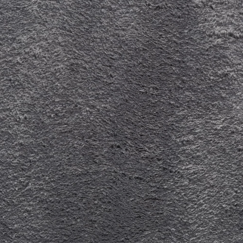 Kilimas HUARTE, antracito, 240x340 cm, trumpi šereliai
