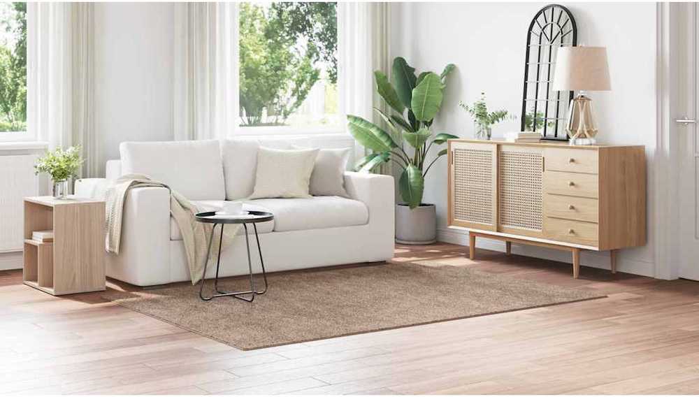 Neslystantis plaukuotas kilimas Ruda 160 x 230 cm PP