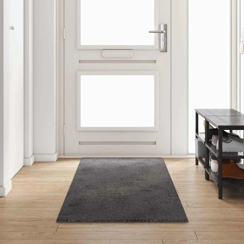 Kilimėlio bėgimo kilimas Pilka 80 x 300 cm