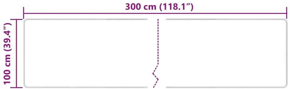 Kilimėlis MARSA Įvairiaspalvis 100 x 300 cm Poliesteris ir PVC