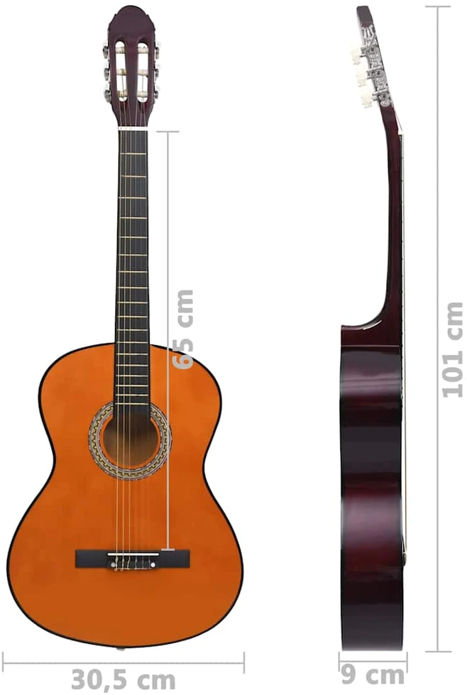 Klasikinė gitara su dėklu pradedantiesiems, 4/4 39"