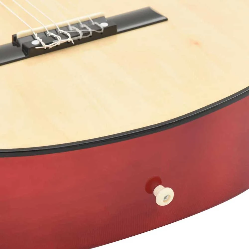 Klasikinė gitara su ekvalaizeriu ir 6 stygomis
