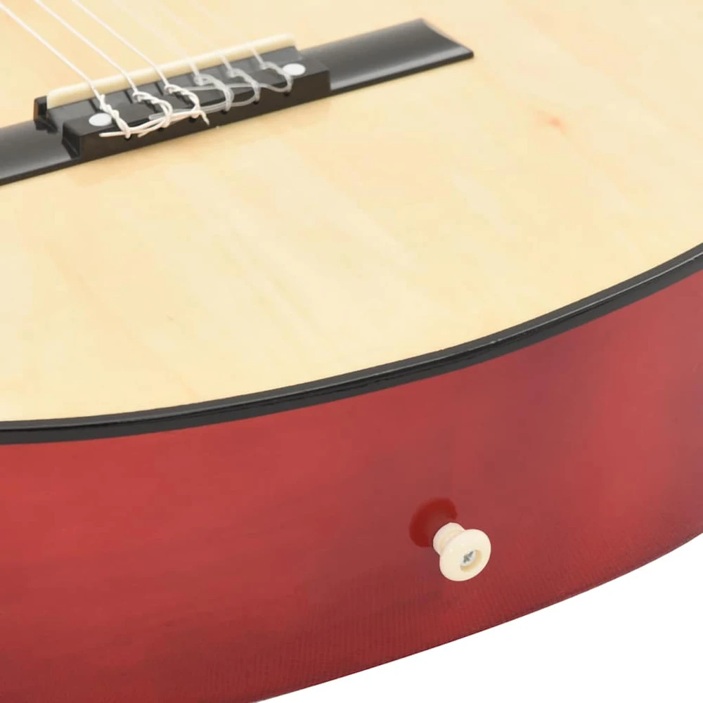 Klasikinė gitara su ekvalaizeriu ir 6 stygomis
