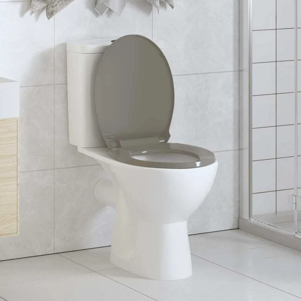 Klozeto sėdynė su soft-close mechanizmu, pilkos spalvos, ovali