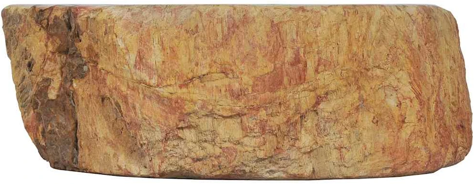 Kriauklė, kreminės spalvos, 45x35x15cm, iškastinis akmuo