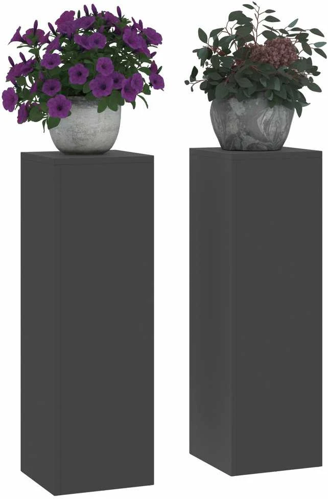 Augalų stovas 2 pcs Juoda 24 x 24 x 75 cm Plienas