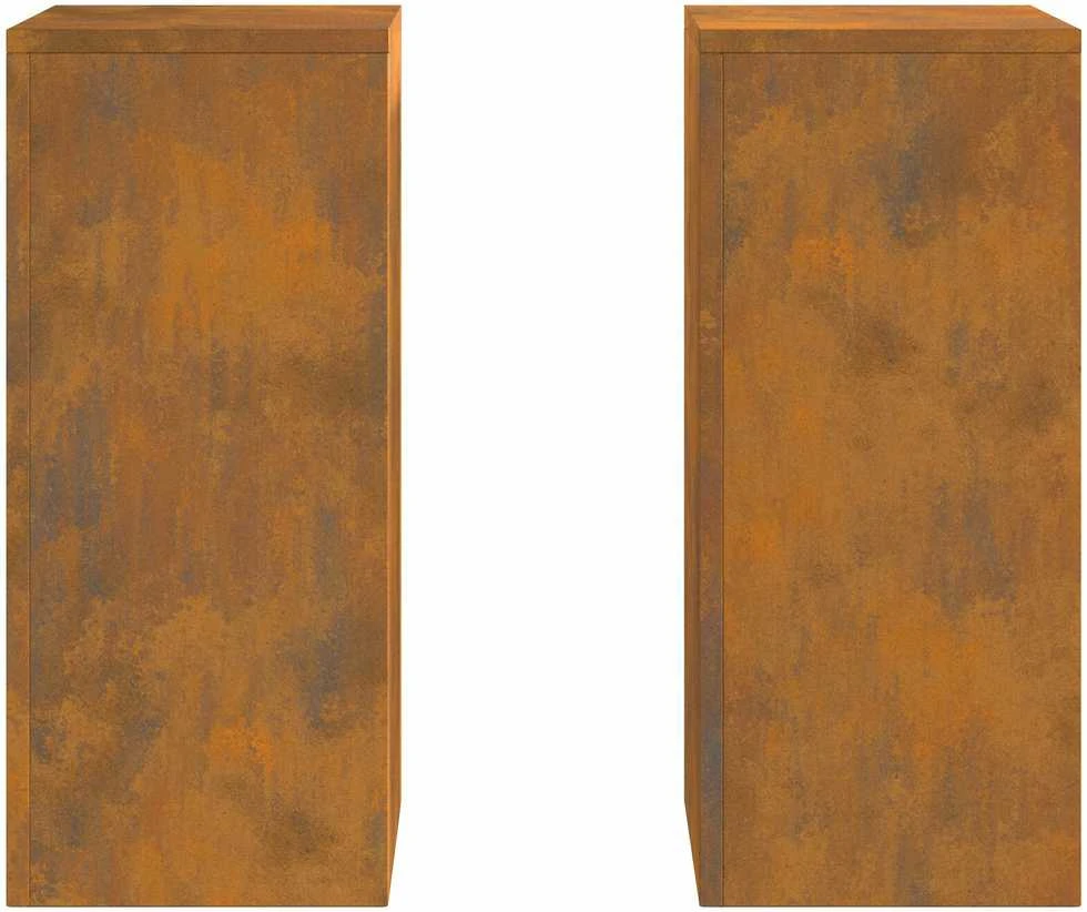 Augalų stovas 2 pcs Rūdijanti 24 x 24 x 55 cm